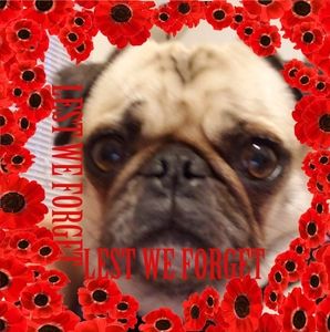 Meet your Posher, Cortney